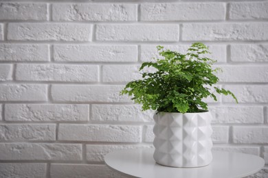 Photo of Beautiful fresh potted fern on table near white brick wall. Space for text