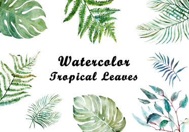 Set of watercolor tropical leaves on white background 