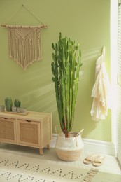 Photo of Hallway interior with cactus in pot and wooden furniture