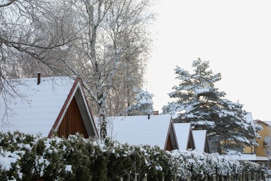 Photo of Modern houses and trees covered with snow in winter morning