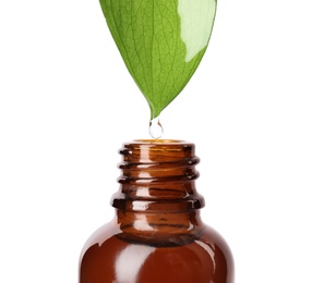 Essential oil drop falling from green leaf into glass bottle on white background, closeup