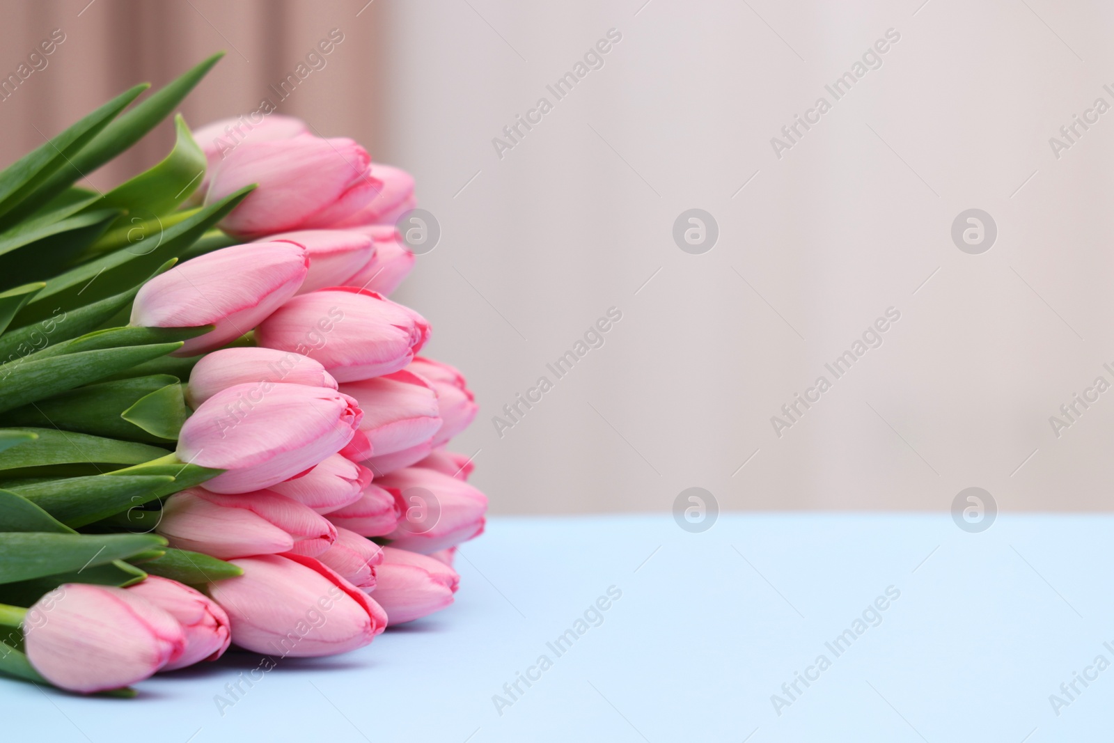 Photo of Bouquet of beautiful pink tulips on light grey background, closeup. Space for text