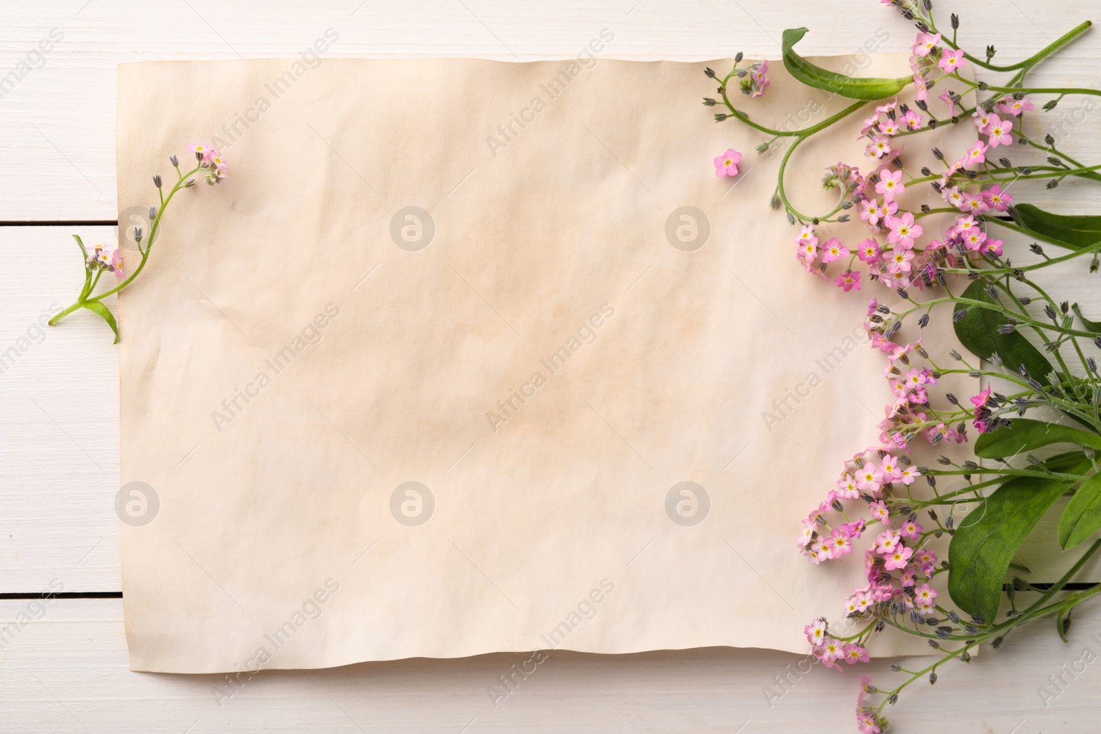 Photo of Beautiful Forget-me-not flowers and parchment on white wooden table, flat lay. Space for text