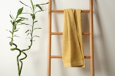 Photo of Yellow towel on wooden ladder and houseplant indoors