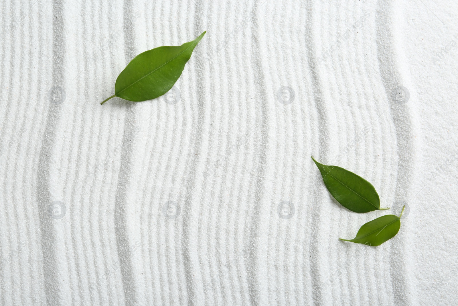 Photo of Zen rock garden. Wave pattern on white sand and green leaves, top view