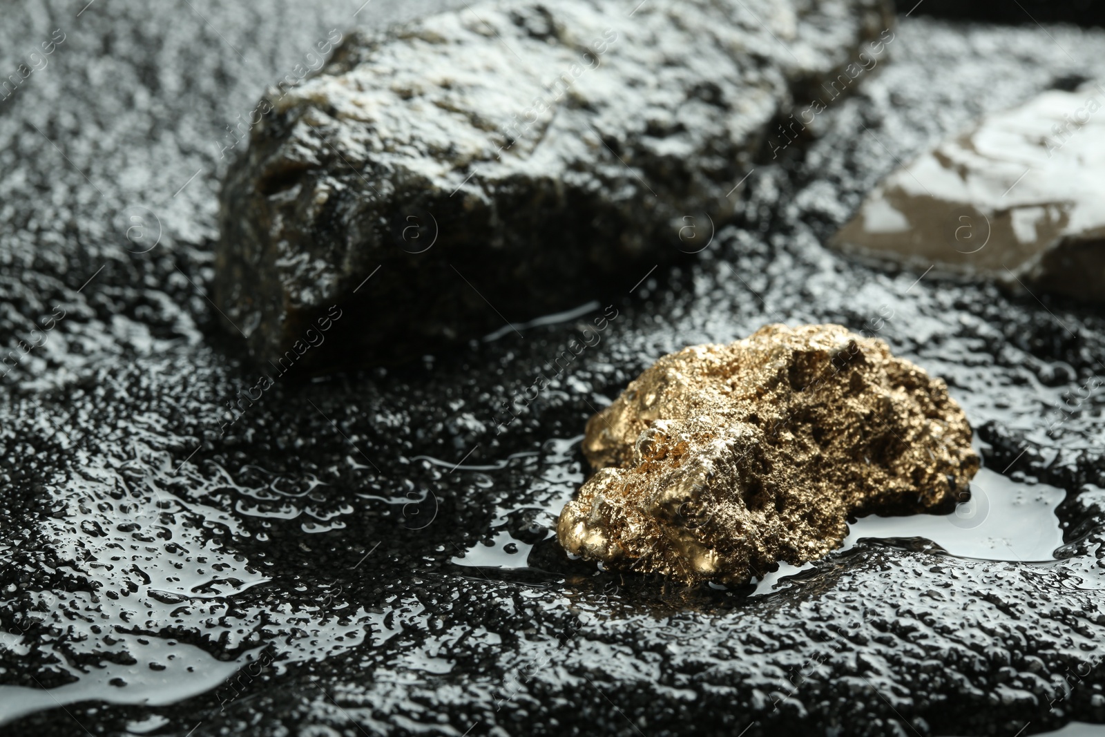 Photo of Shiny gold nugget on wet stones. Space for text