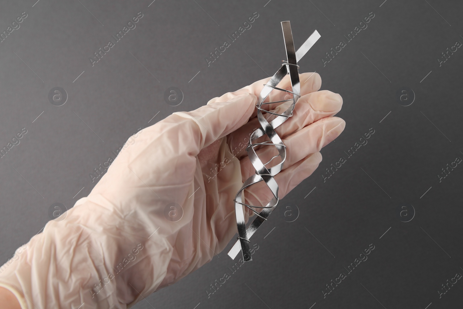 Photo of Scientist with DNA molecular chain model made of metal on grey background, closeup