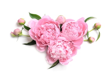 Photo of Beautiful fragrant peony flowers on white background