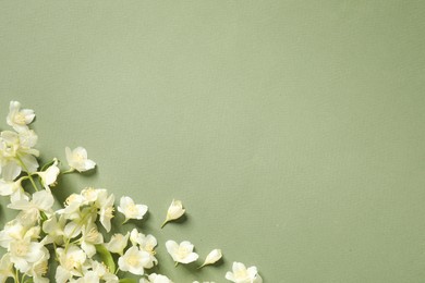 Photo of Beautiful jasmine flowers on pale green background, flat lay. Space for text