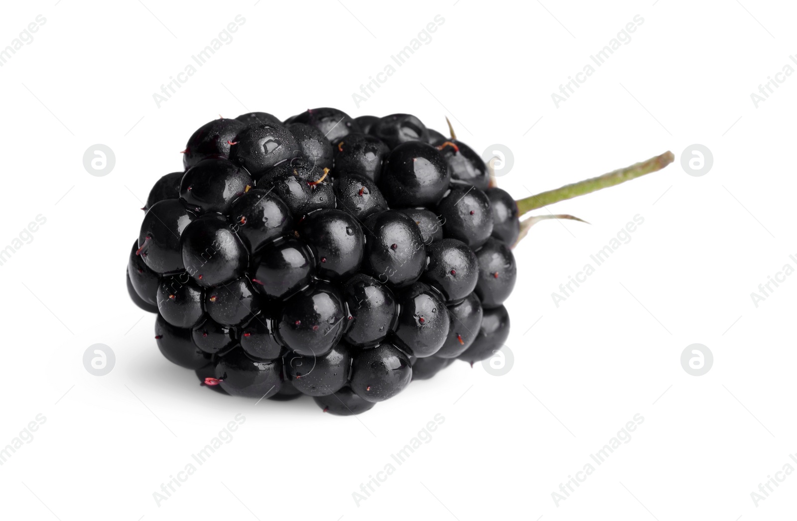 Photo of One tasty ripe blackberry isolated on white