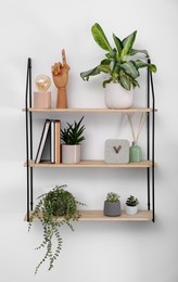 Photo of Shelving unit with beautiful houseplants, book and decor on light wall