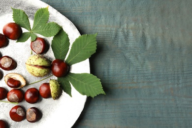 Horse chestnuts and leaves on blue wooden table, top view. Space for text