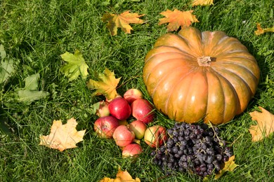 Photo of Ripe pumpkin, fruits and maple leaves on green grass outdoors. Autumn harvest