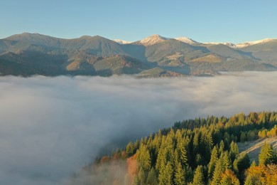 Photo of Beautiful landscape with thick mist and forest in mountains. Drone photography