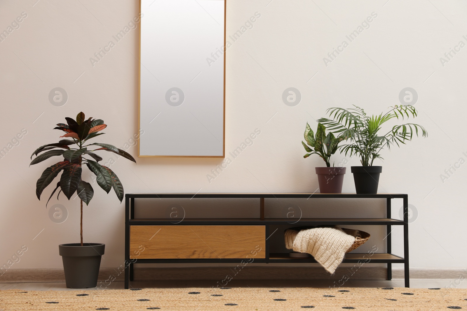 Photo of Beautiful room interior with houseplants and stylish furniture