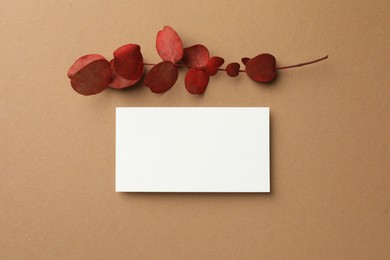 Photo of Blank business card and red eucalyptus branch on beige background, flat lay. Mockup for design