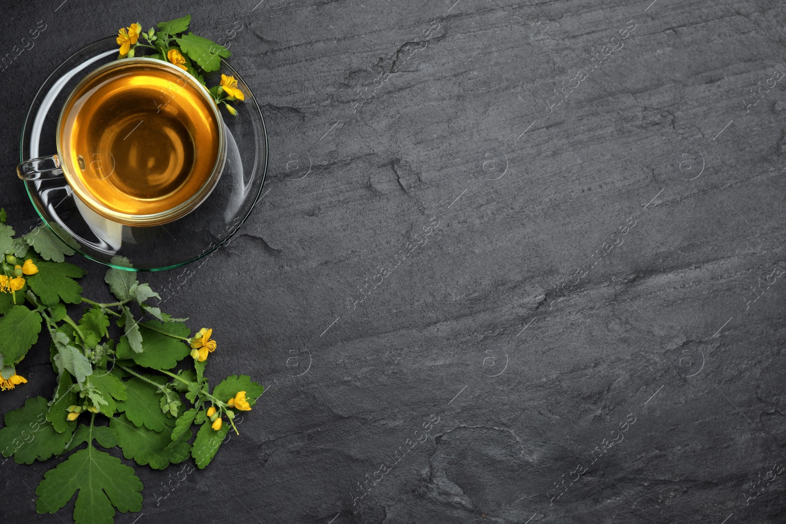 Photo of Glass cup of aromatic celandine tea and flowers on black table, flat lay. Space for text