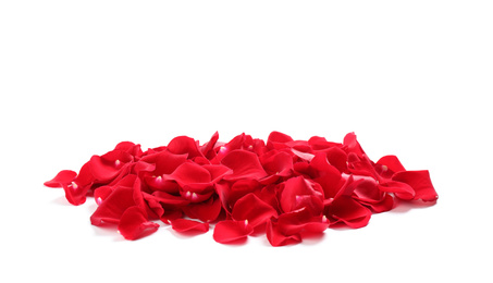 Pile of red rose petals on white background