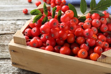 Photo of Fresh ripe rowan berries with green leaves on wooden table, closeup
