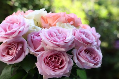 Photo of Beautiful bouquet of aromatic roses outdoors, closeup