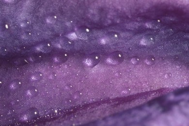 Photo of Beautiful purple Clematis flower with water drops as background, macro view