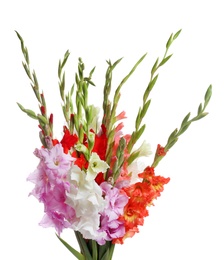 Photo of Beautiful bouquet of gladiolus flowers on white background