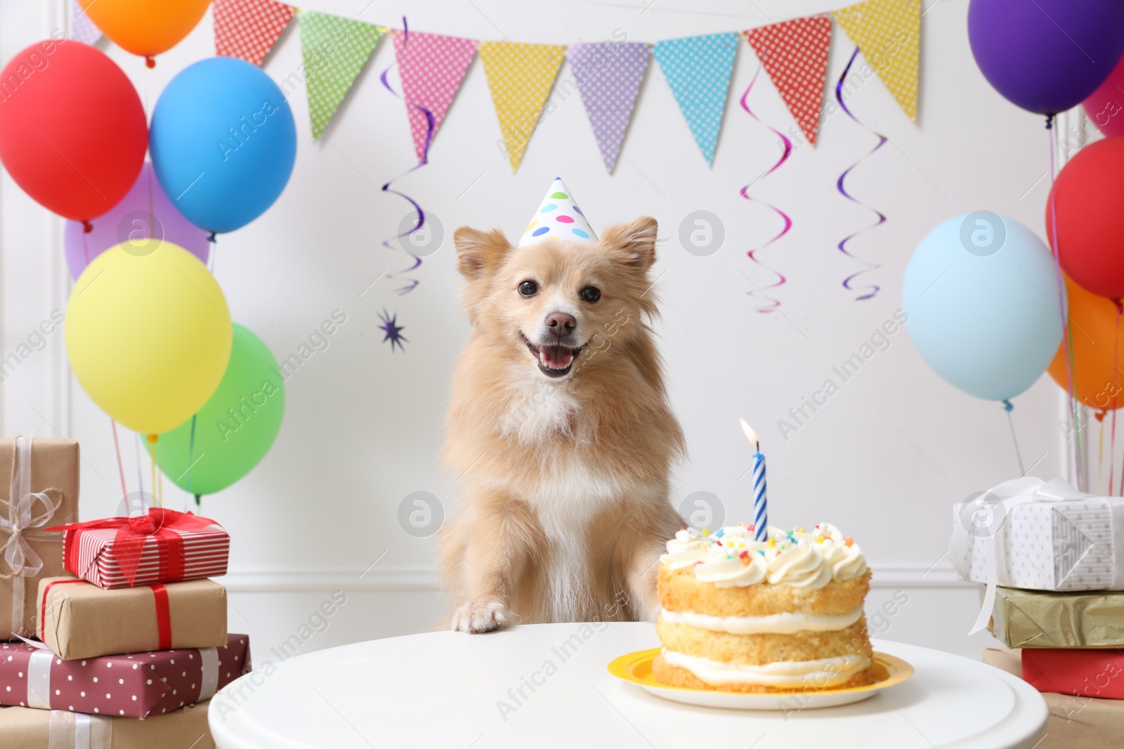 Photo of Cute dog wearing party hat at table with delicious birthday cake in decorated room