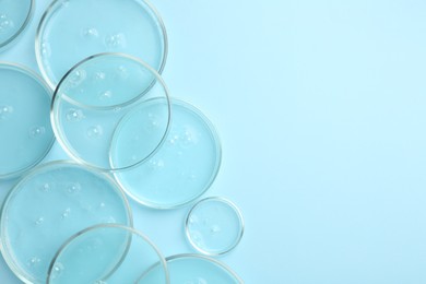 Photo of Petri dishes with liquid samples on light blue background, flat lay. Space for text