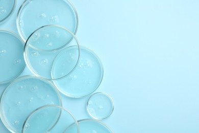 Petri dishes with liquid samples on light blue background, flat lay. Space for text