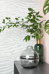 Stylish vases with green branches on table indoors