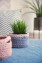 Photo of Knitted flowerpot cover with plant on carpet. Interior element