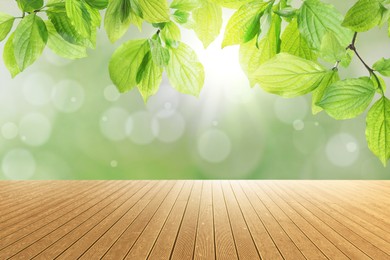 Image of Empty wooden surface and beautiful green leaves on blurred background. Bokeh effect