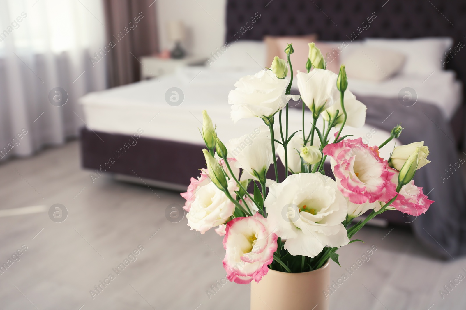 Photo of Beautiful flowers in vase and space for text on blurred background. Element of interior design