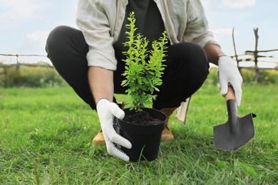 Man planting tree in countryside, closeup view