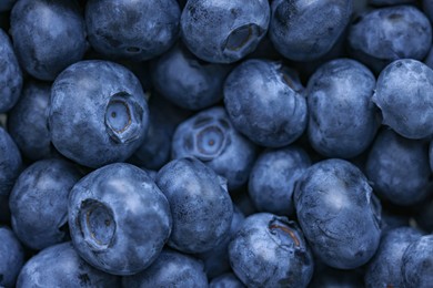 Photo of Fresh tasty blueberries as background, closeup view
