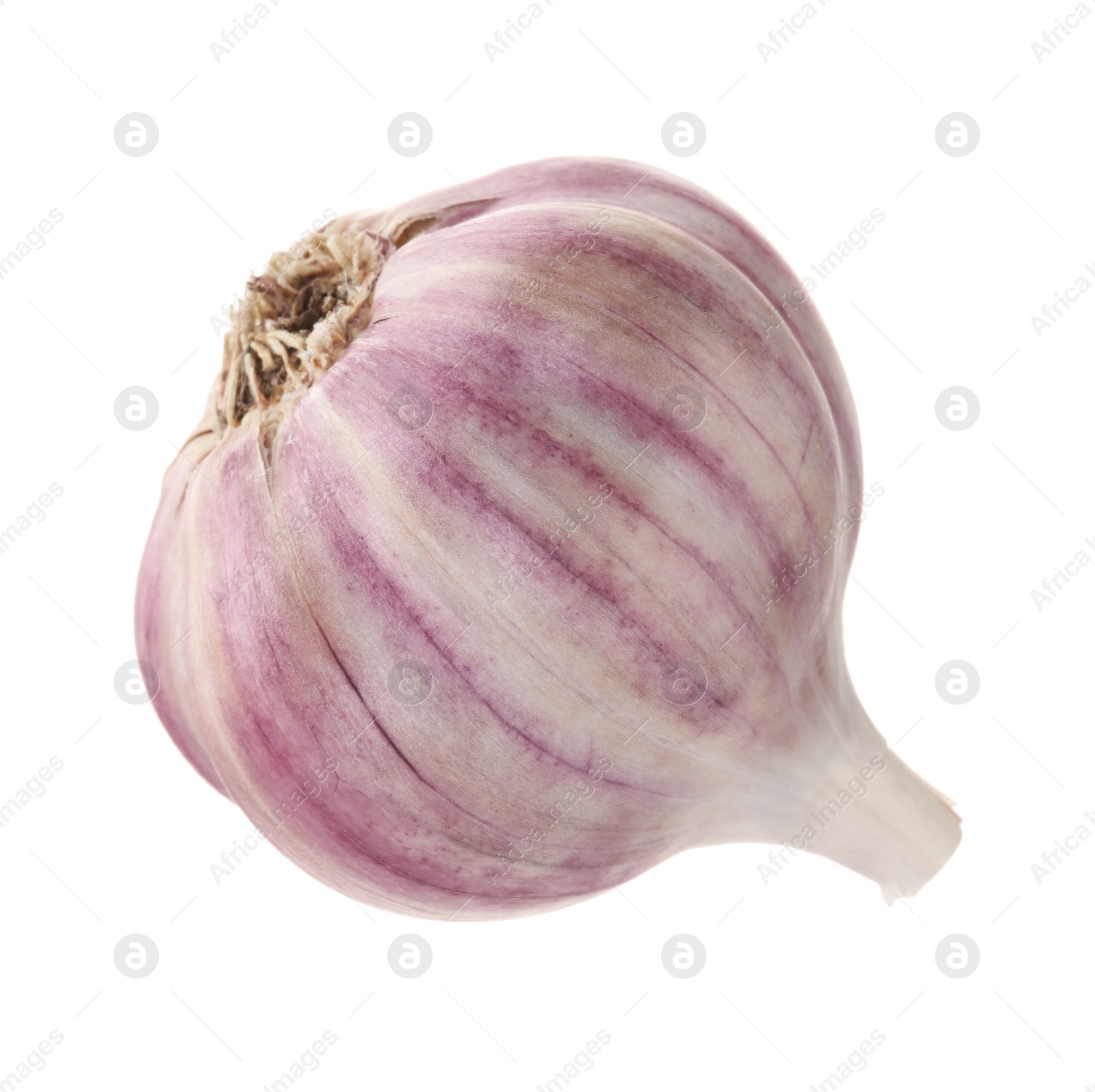 Photo of Unpeeled head of fresh garlic isolated on white