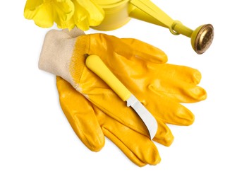 Photo of Pair of gloves, gardening tools and blooming plant on white background, top view