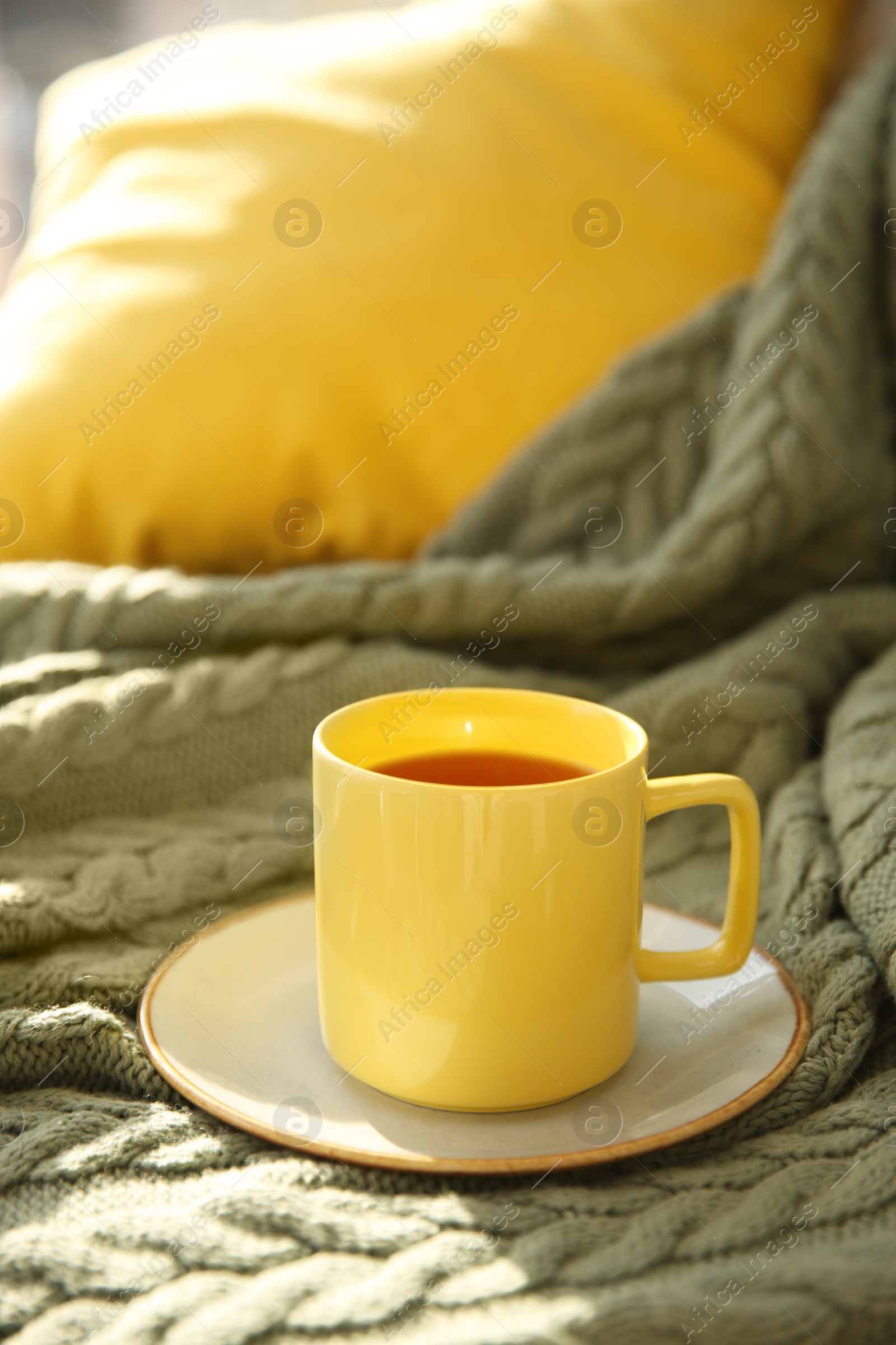 Photo of Cup of aromatic tea on green blanket, space for text