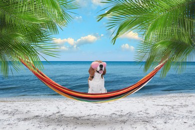 Image of Cute dog in hammock between palms near sea on sunny day. Summer vacation with pet