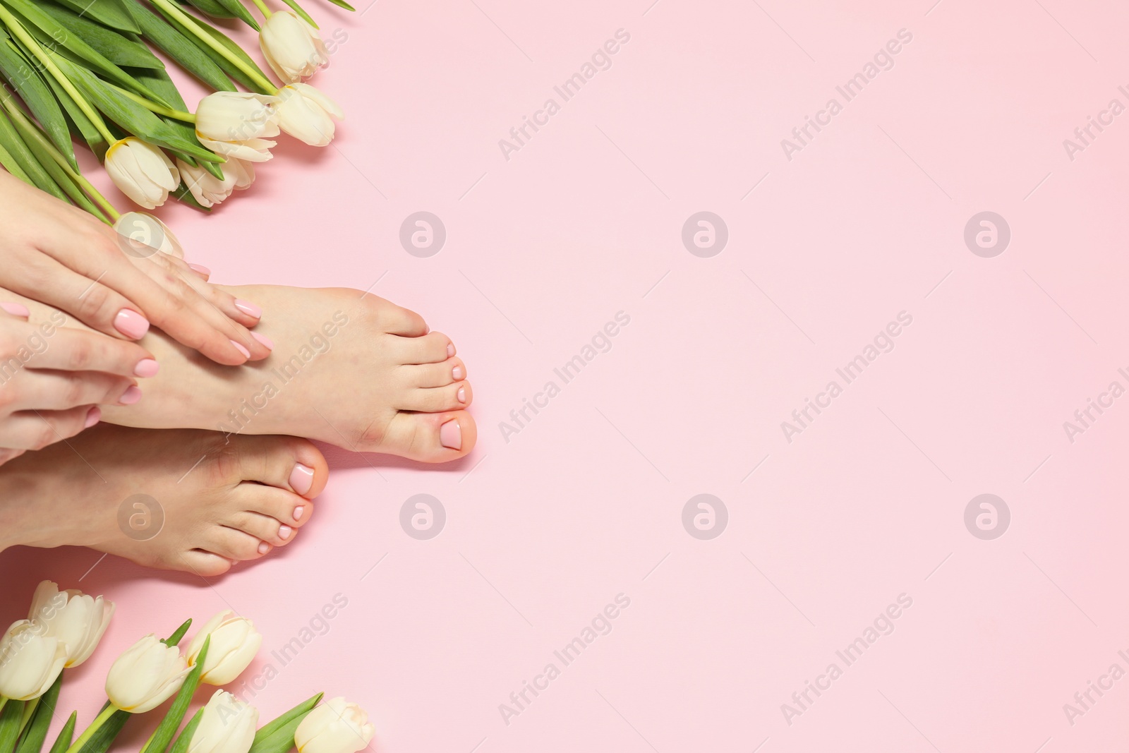 Photo of Closeup of woman with neat toenails after pedicure procedure on pink background, top view. Space for text