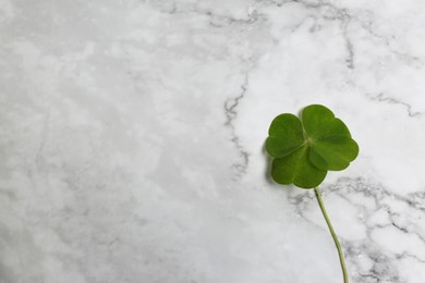 Beautiful green four leaf clover on white marble table, top view. Space for text