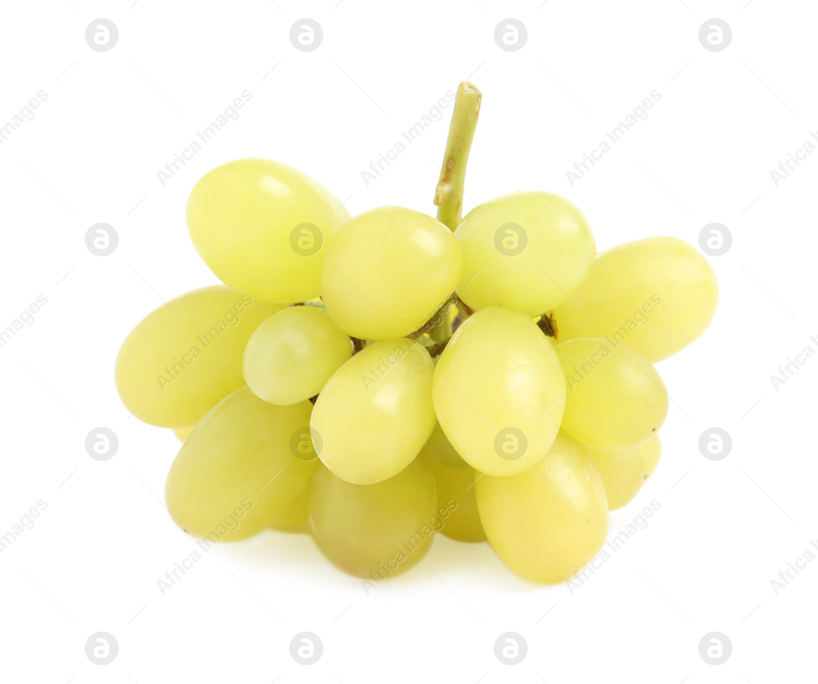 Photo of Delicious ripe green grapes isolated on white