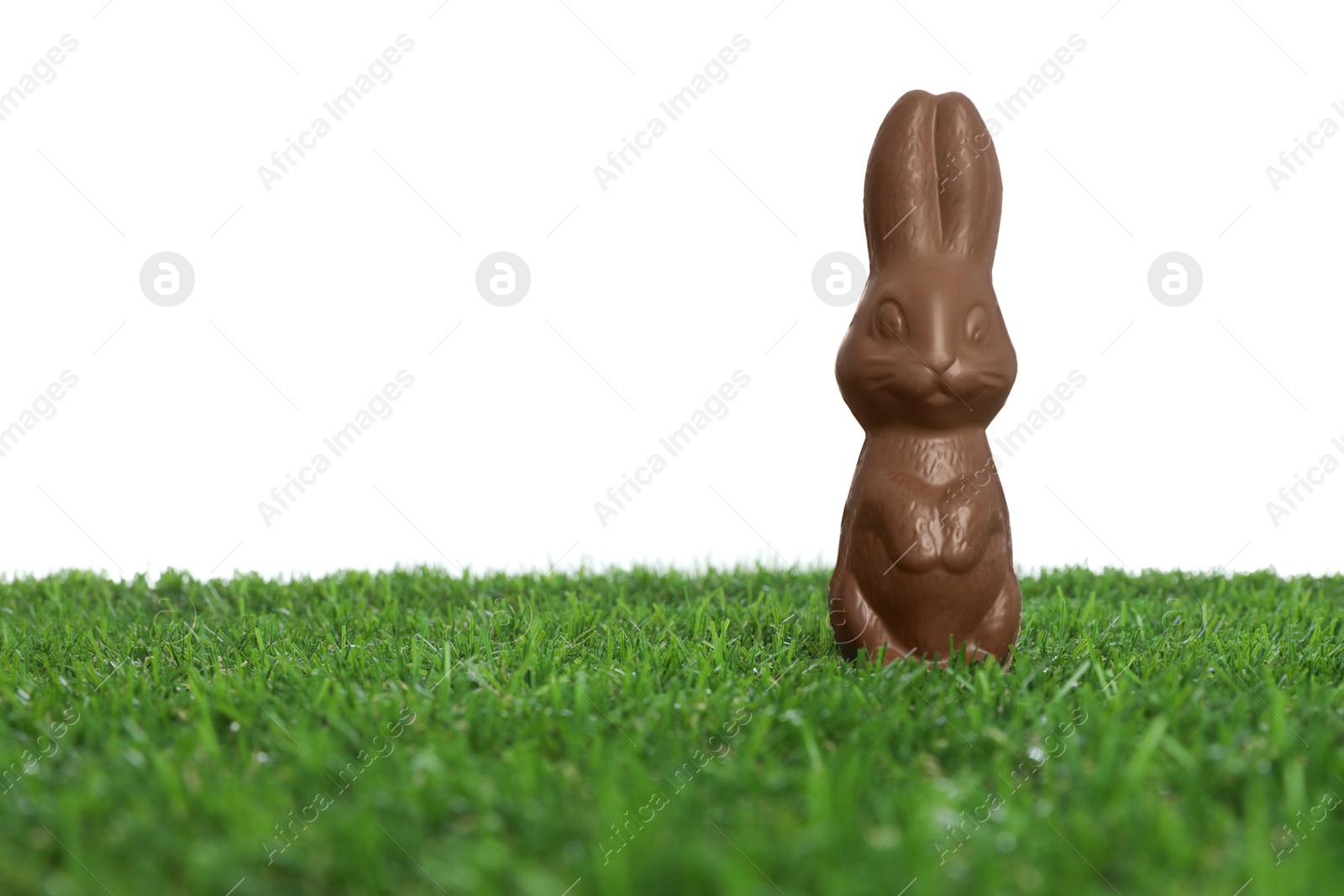 Photo of Chocolate bunny on green grass against white background, space for text. Easter celebration