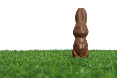 Photo of Chocolate bunny on green grass against white background, space for text. Easter celebration