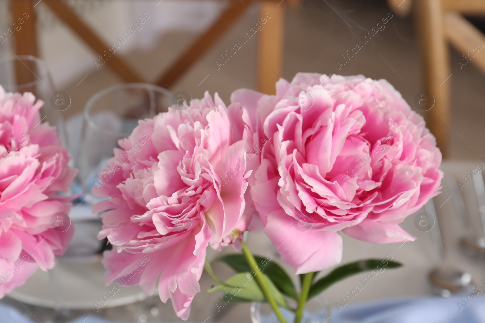 Photo of Beautiful table setting. Peonies on table indoors, closeup