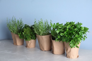 Photo of Seedlings of different aromatic herbs in paper wrapped pots on light grey marble table