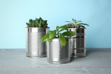 Beautiful houseplants in tin cans on light grey wooden table