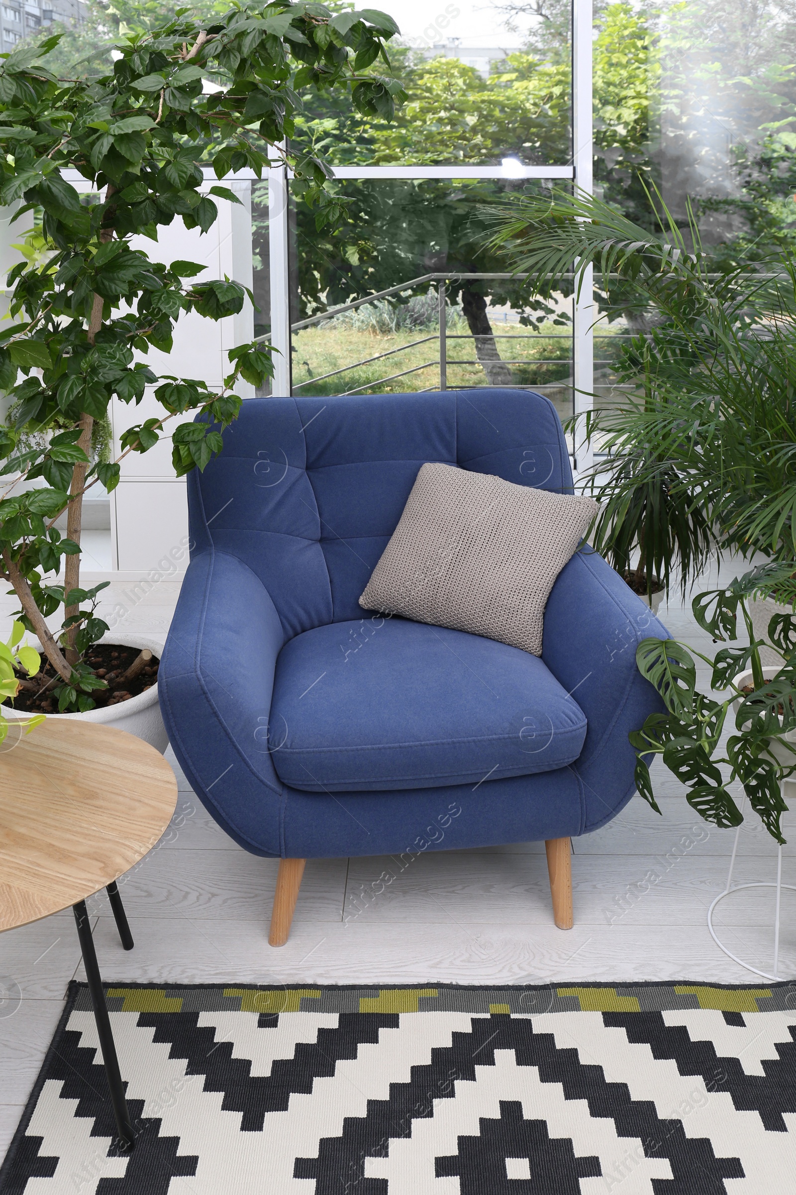 Photo of Comfortable armchair and beautiful houseplants in room. Lounge area interior