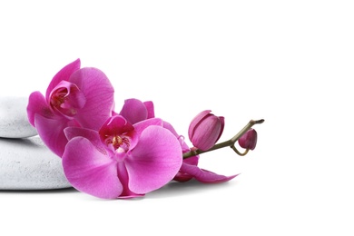 Spa stones and orchid flowers on white background