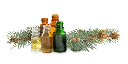 Photo of Different little bottles with essential oils and pine branches on white background